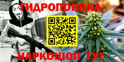 дистиллят марихуана Новозыбков