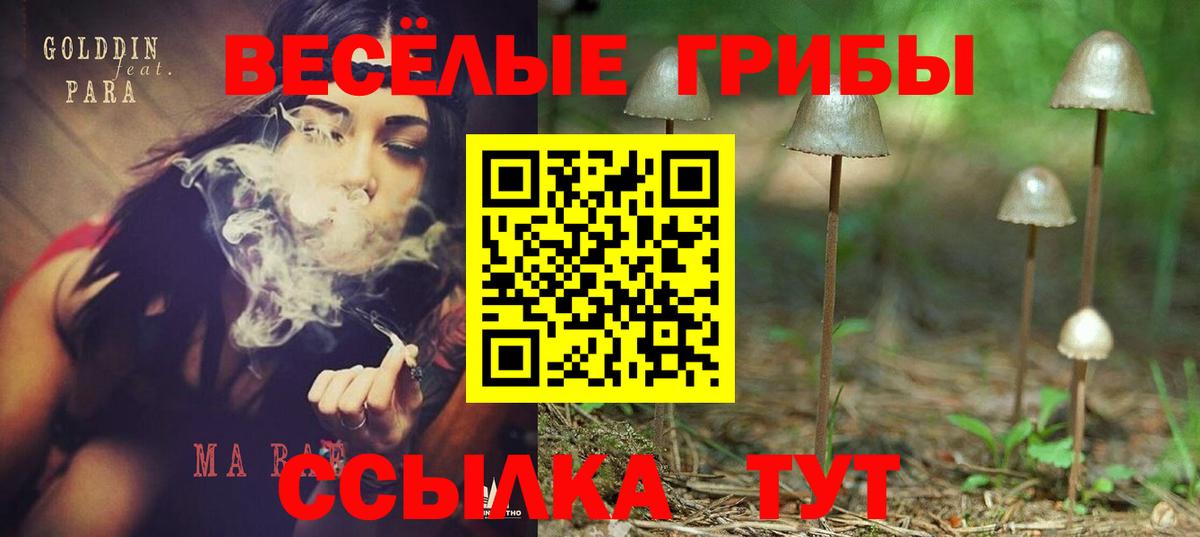 Галлюциногенные грибы мицелий Семёнов